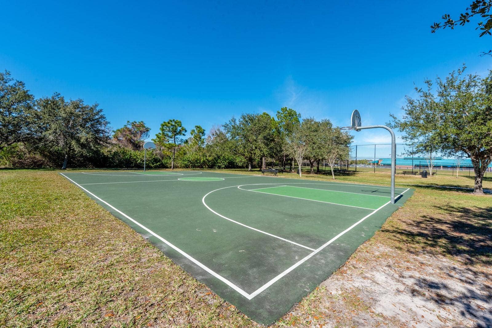 1806 ANNA CATHERINE DRIVE, Orlando, FL 32828 Basketball court