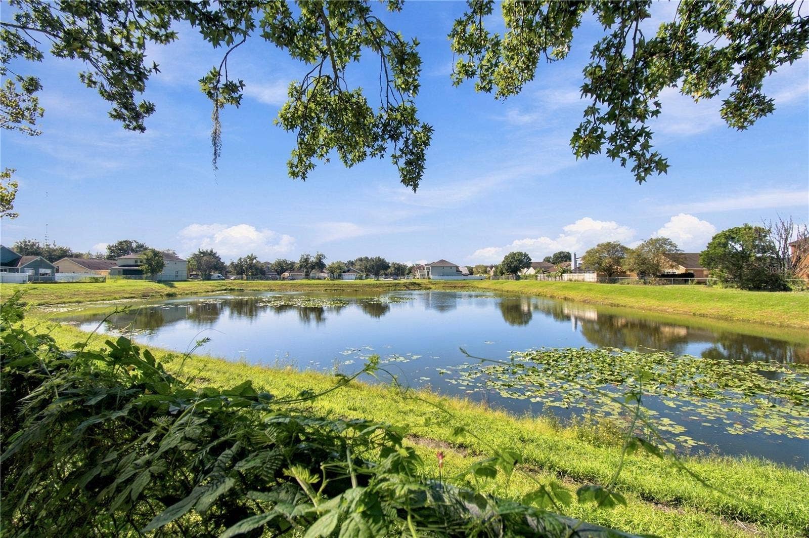 Pond View