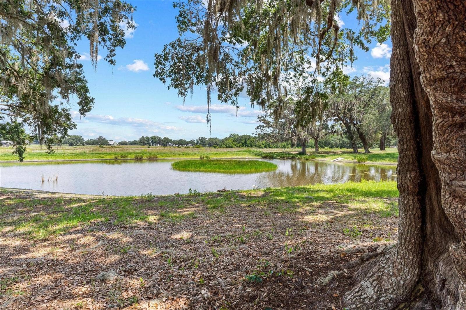 12130 GRAND OAK LANE, Oxford, FL 34484 12130 GRAND OAK LANE, Oxford, FL 34484