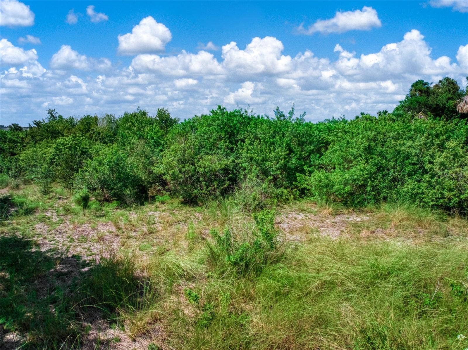 1665 COUNTY ROAD 29, Lake Placid, FL 33852