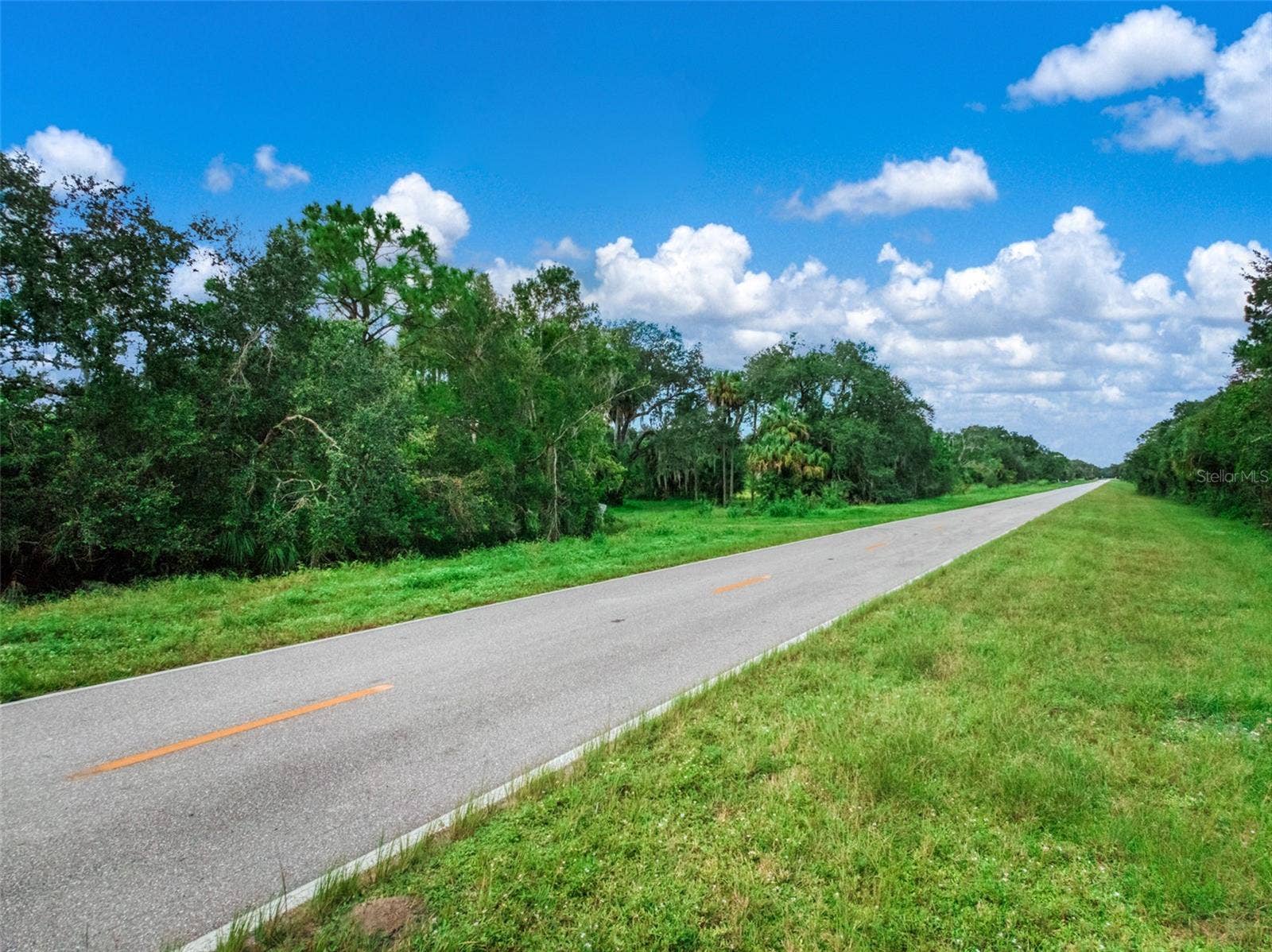 1665 COUNTY ROAD 29, Lake Placid, FL 33852