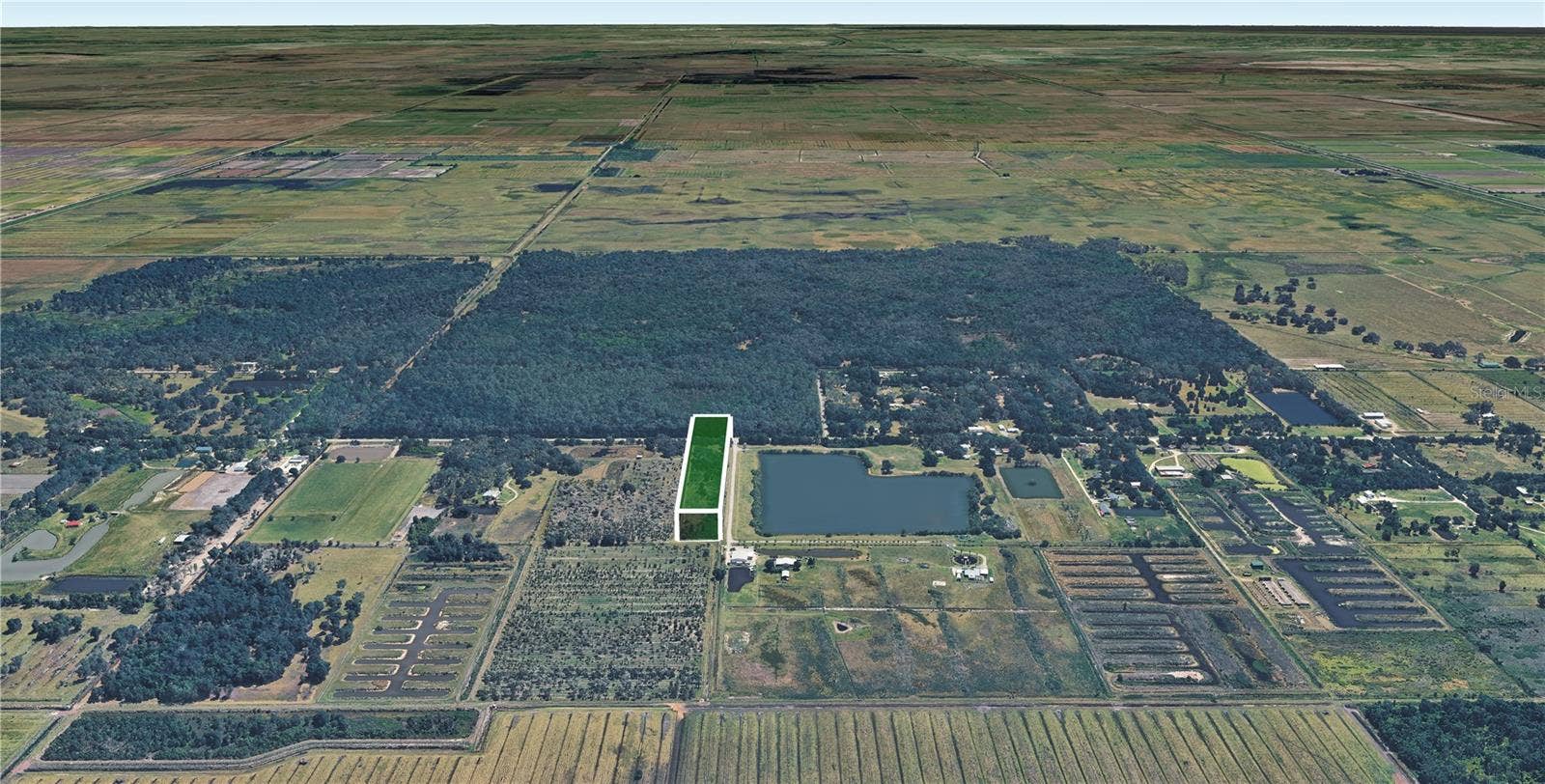 1665 COUNTY ROAD 29, Lake Placid, FL 33852