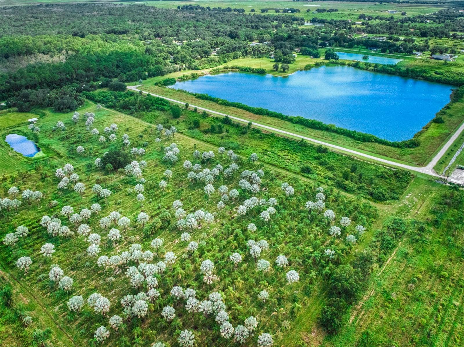 1665 COUNTY ROAD 29, Lake Placid, FL 33852