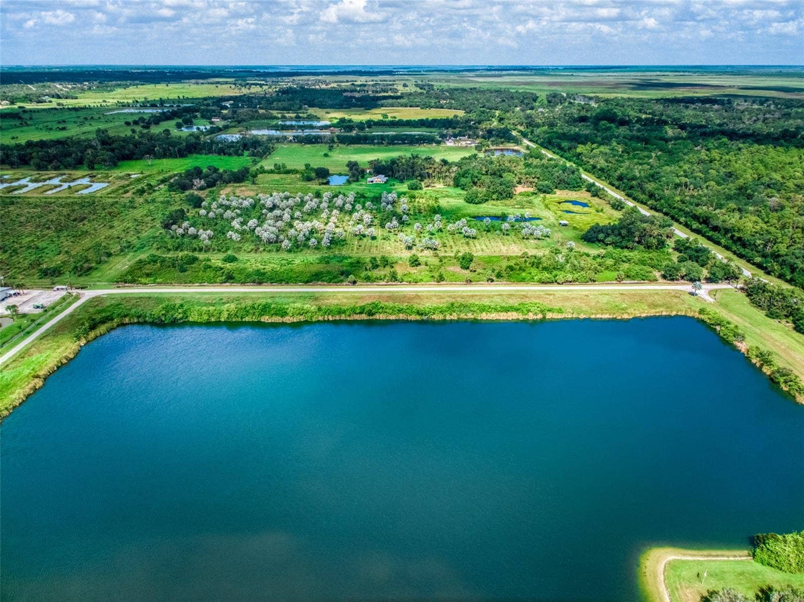 1665 COUNTY ROAD 29, Lake Placid, FL 33852