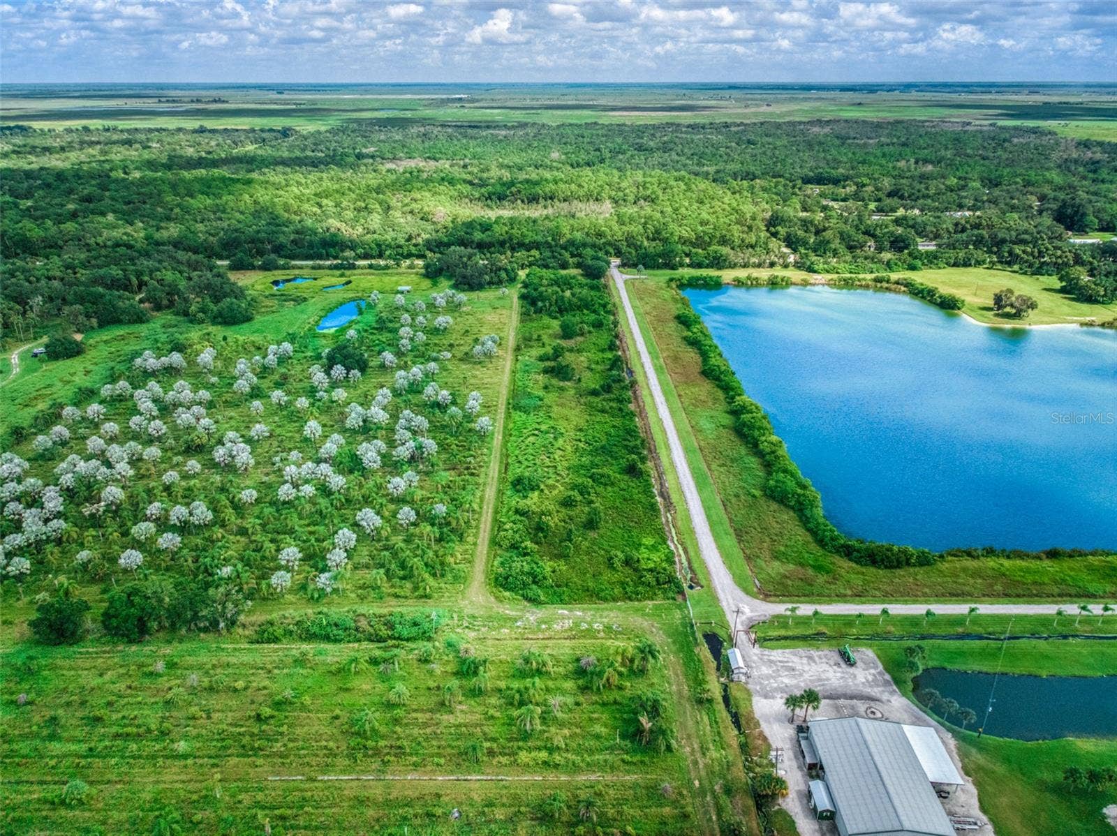 1665 COUNTY ROAD 29, Lake Placid, FL 33852