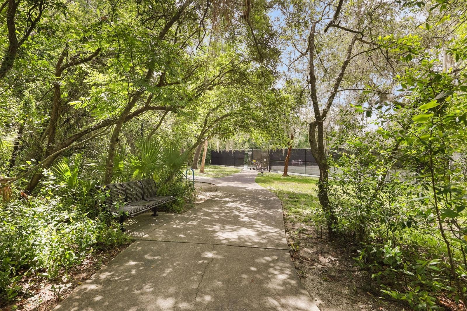Maitland Community Park
