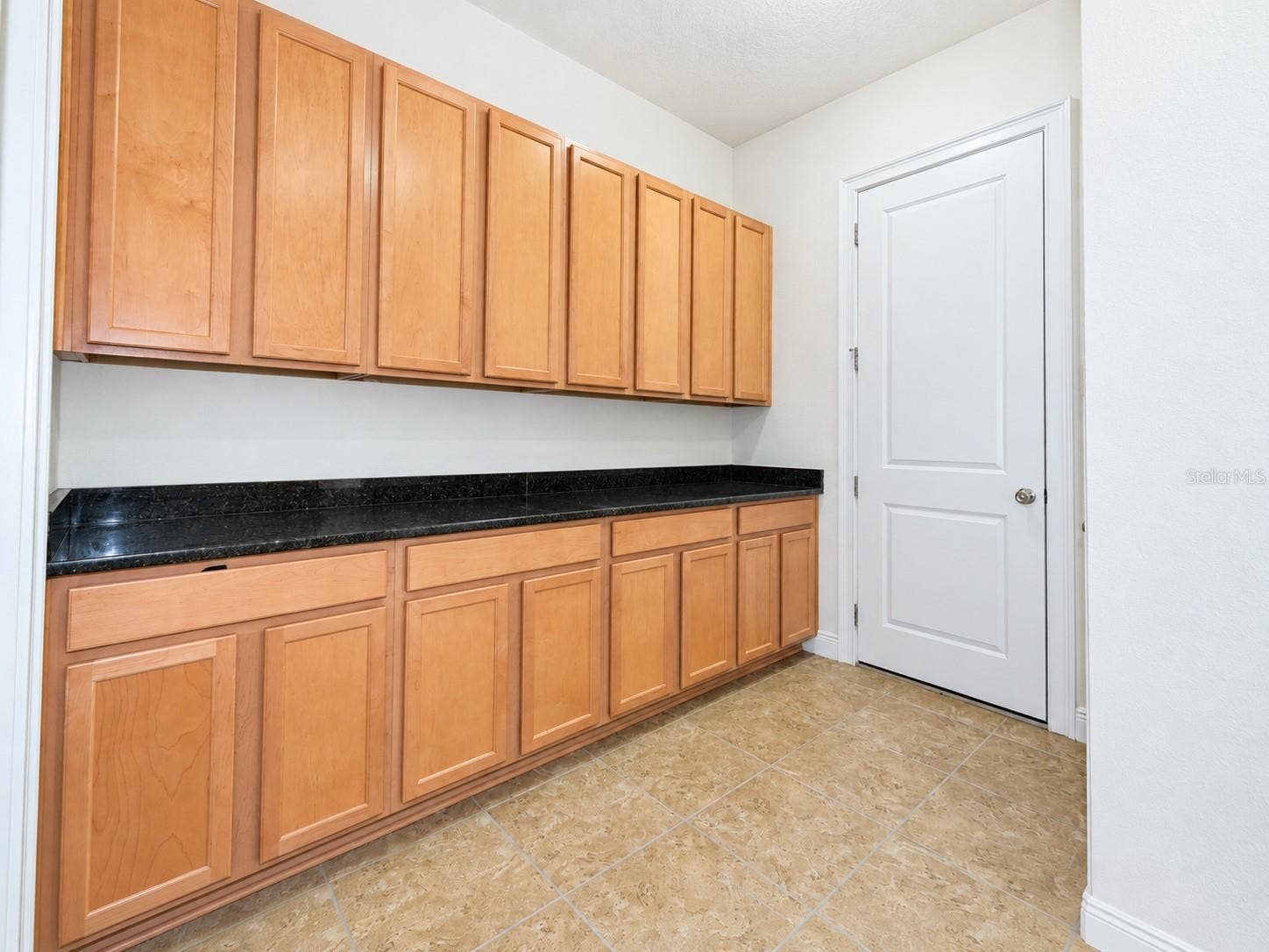 17538 BLACK RAIL STREET, Windermere, FL 34786
