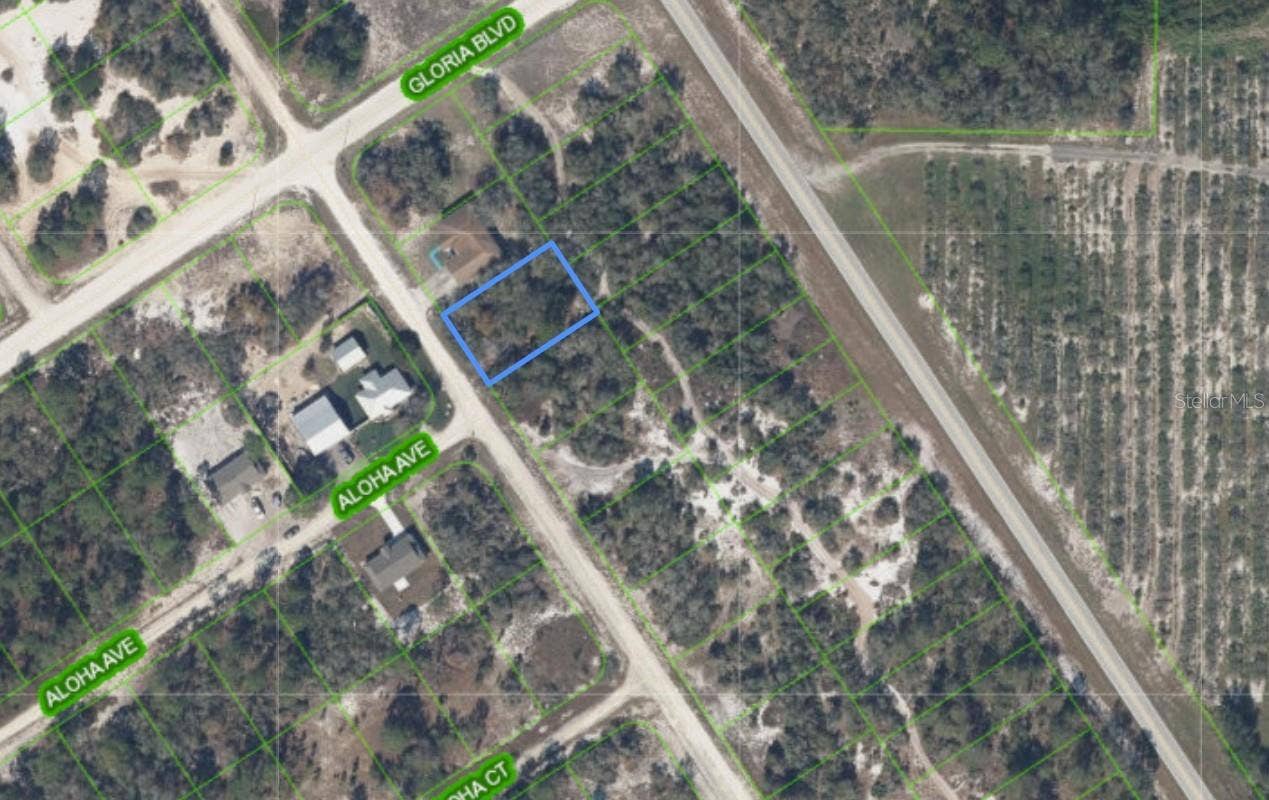 516 MORNINGSIDE DRIVE, Lake Placid, FL 33852