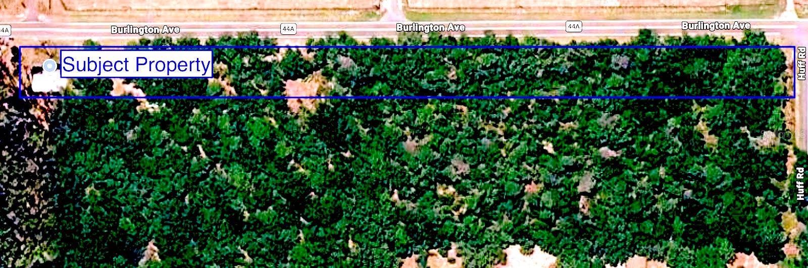 Eustis, FL 32736 Aerial View