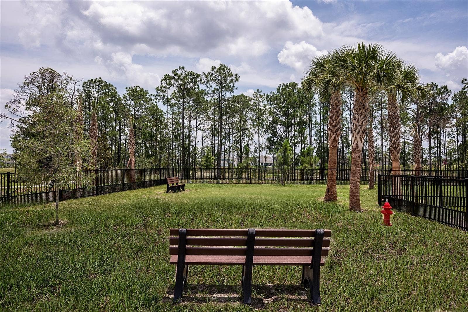 14743 FIELD DAISY DRIVE, Winter Garden, FL 34787 Harvest at Ovation Community