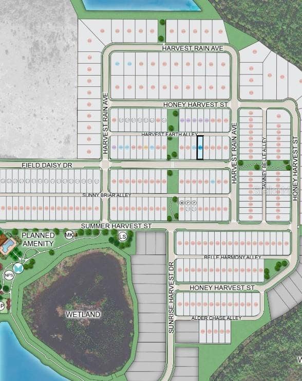 14743 FIELD DAISY DRIVE, Winter Garden, FL 34787 14743 Field Daisy Drive Site Map
