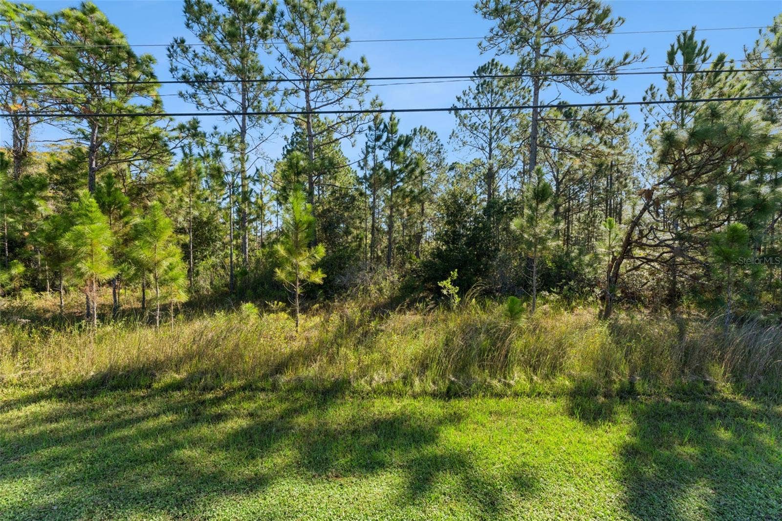 QUINELLA STREET, Orlando, FL 32833 QUINELLA STREET, Orlando, FL 32833