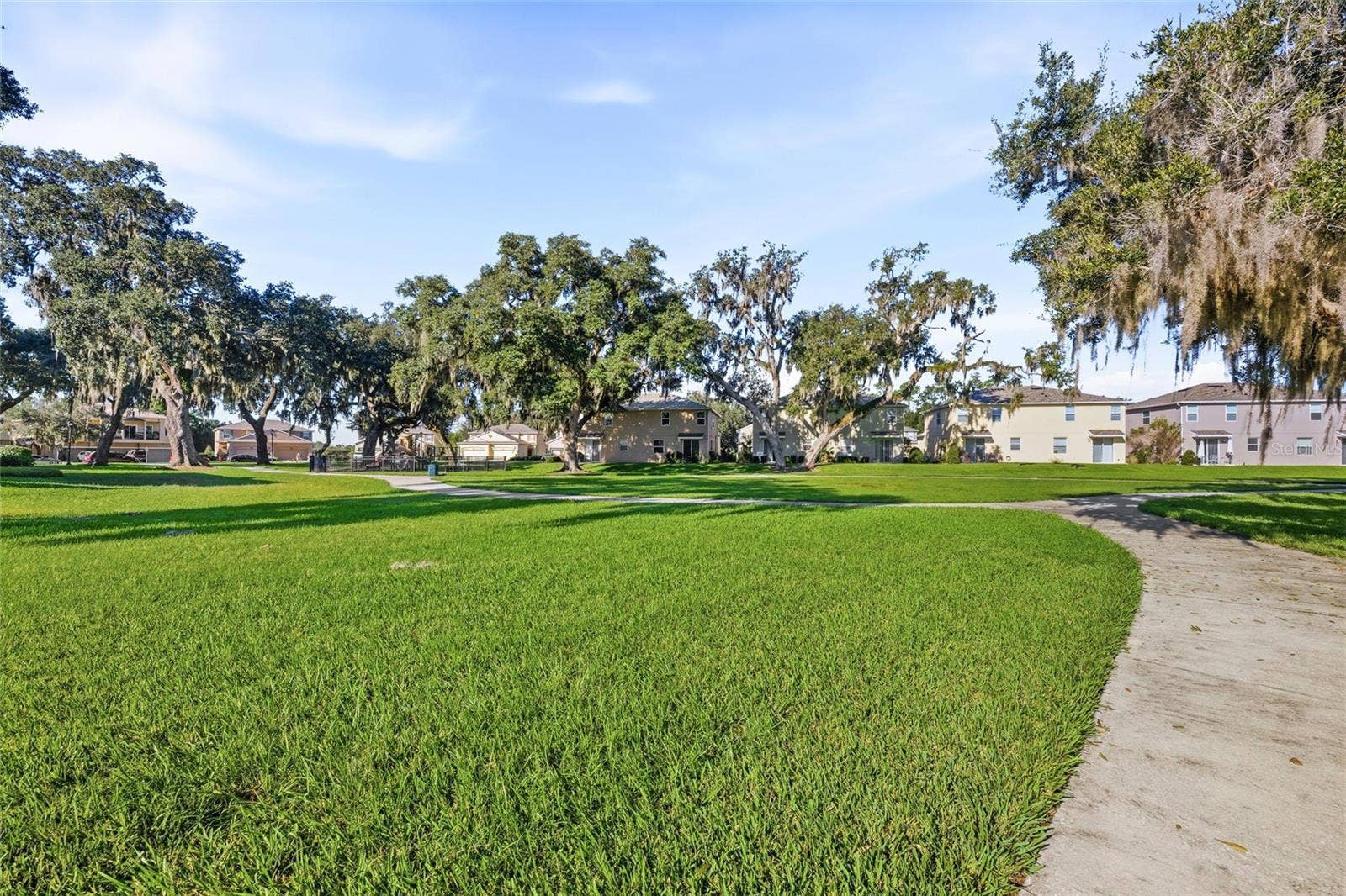 Dog walk park area