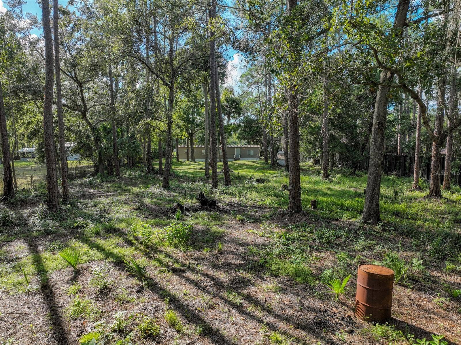1205 CUPID AVENUE, Christmas, FL 32709