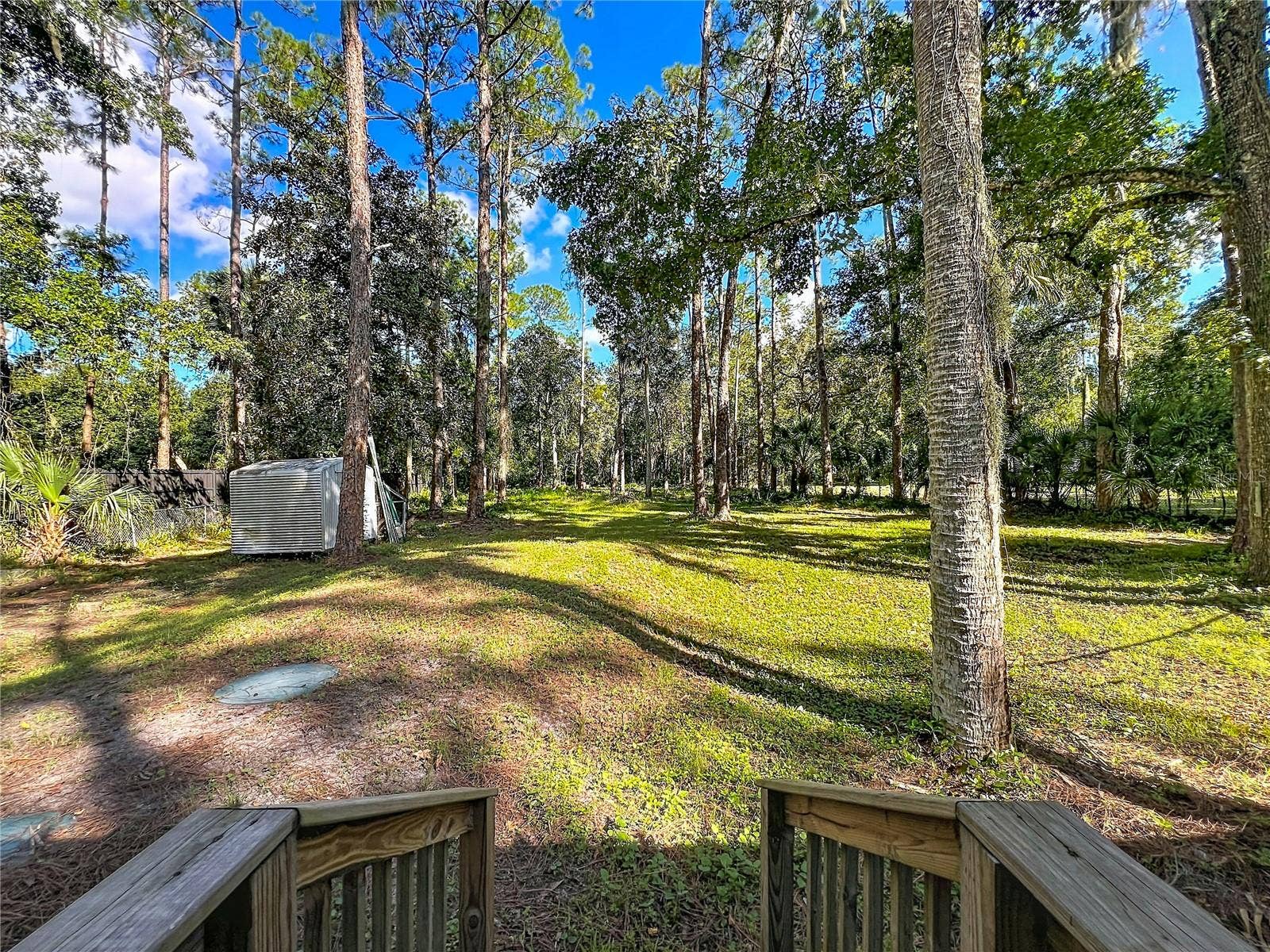1205 CUPID AVENUE, Christmas, FL 32709