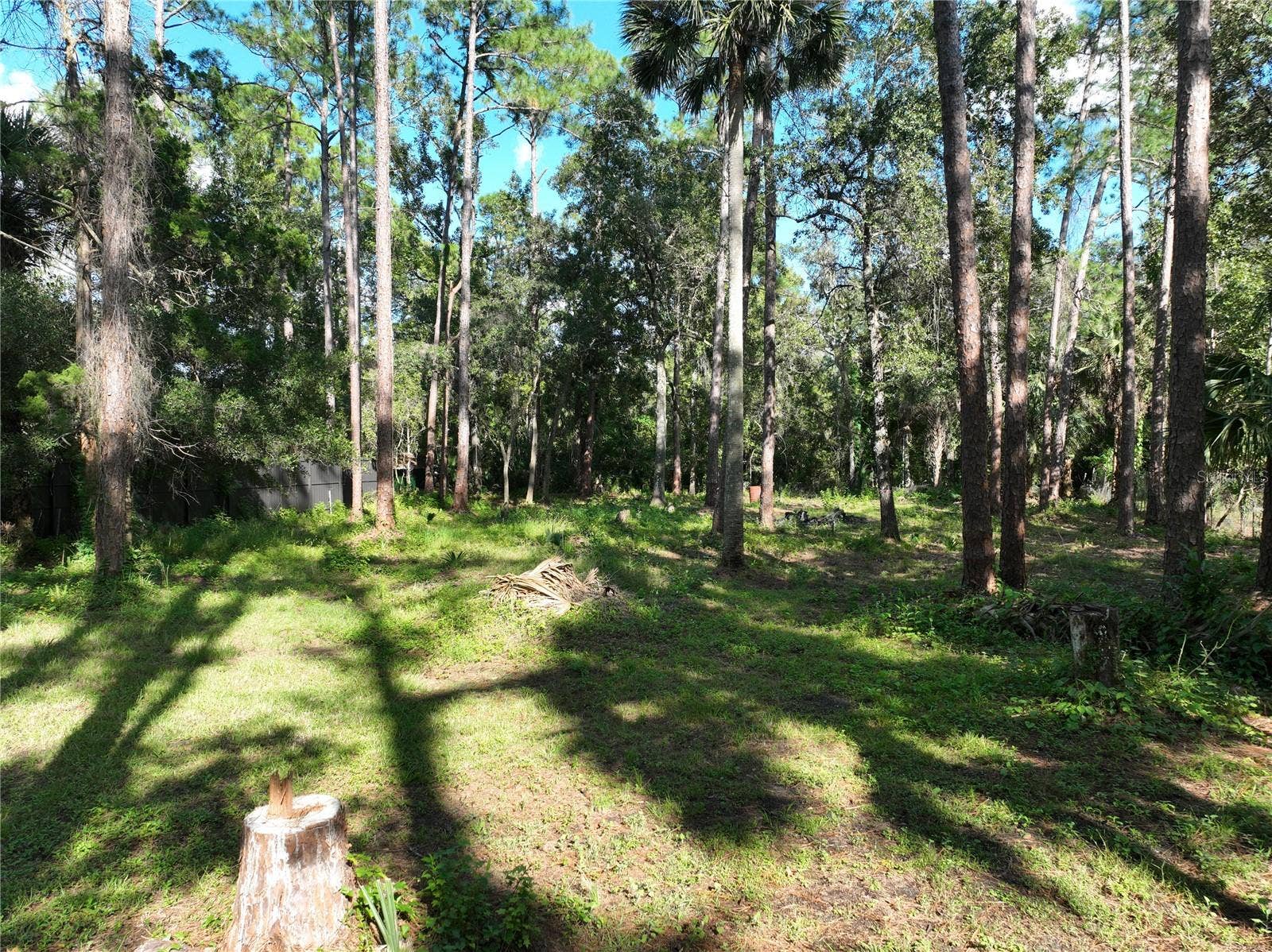 1205 CUPID AVENUE, Christmas, FL 32709