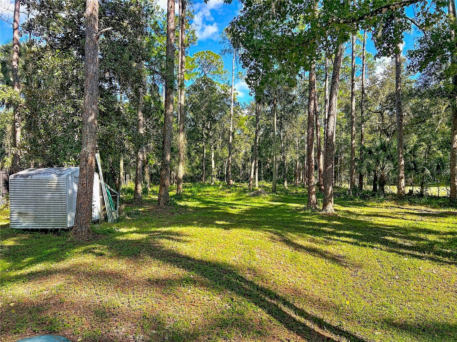 1205 CUPID AVENUE, Christmas, FL 32709