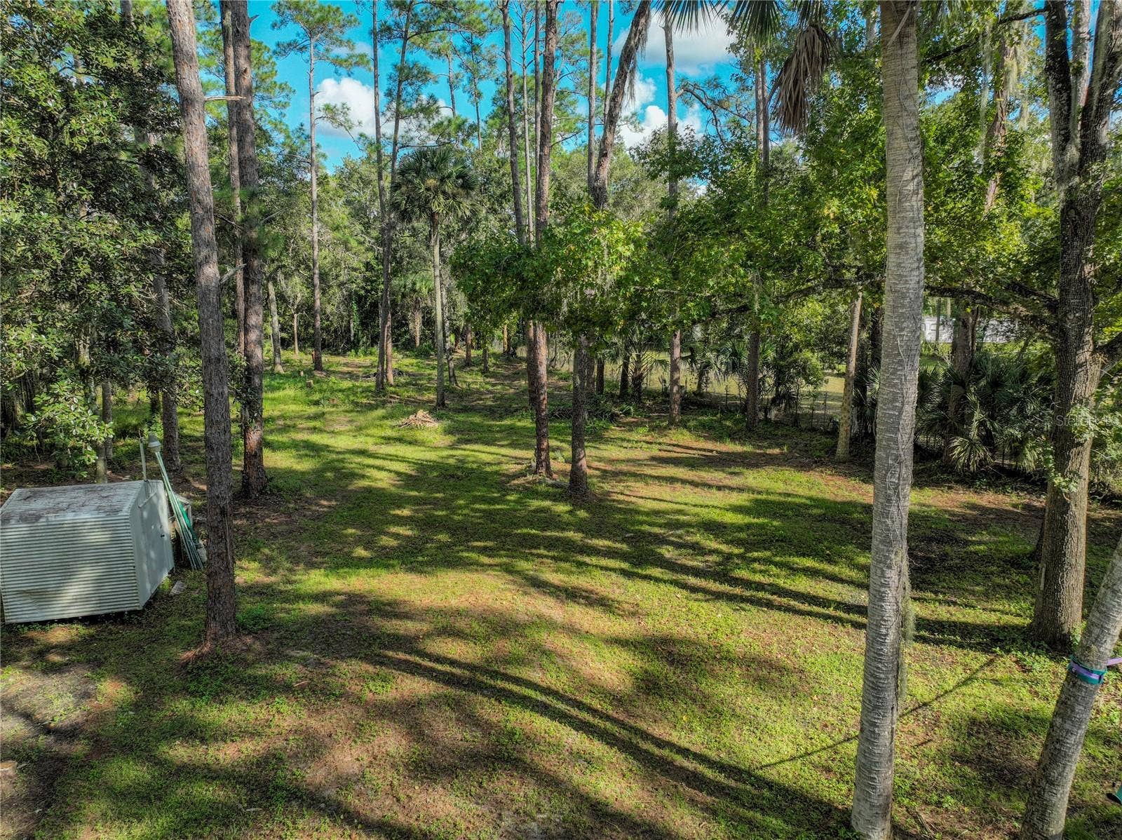 1205 CUPID AVENUE, Christmas, FL 32709