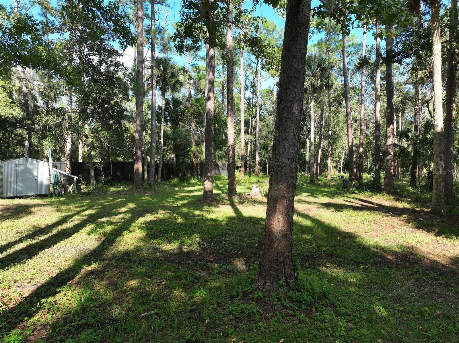 1205 CUPID AVENUE, Christmas, FL 32709