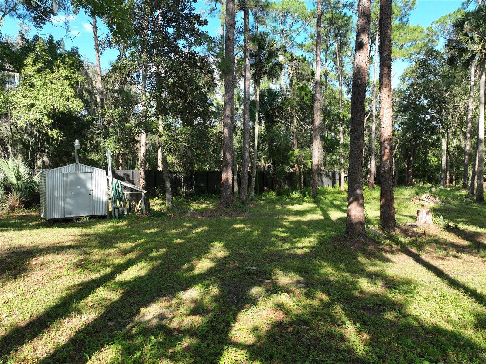 1205 CUPID AVENUE, Christmas, FL 32709