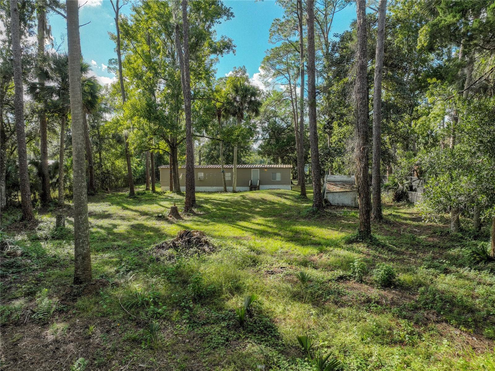 1205 CUPID AVENUE, Christmas, FL 32709