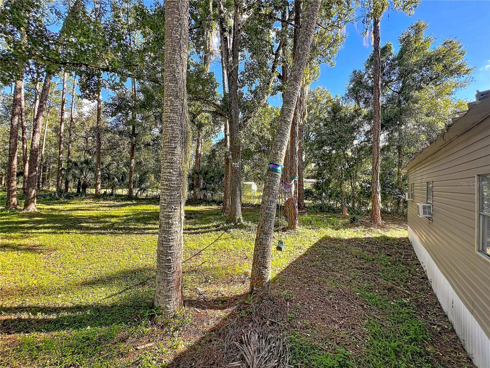 1205 CUPID AVENUE, Christmas, FL 32709