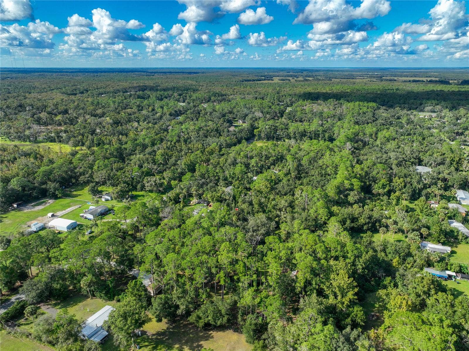 1205 CUPID AVENUE, Christmas, FL 32709