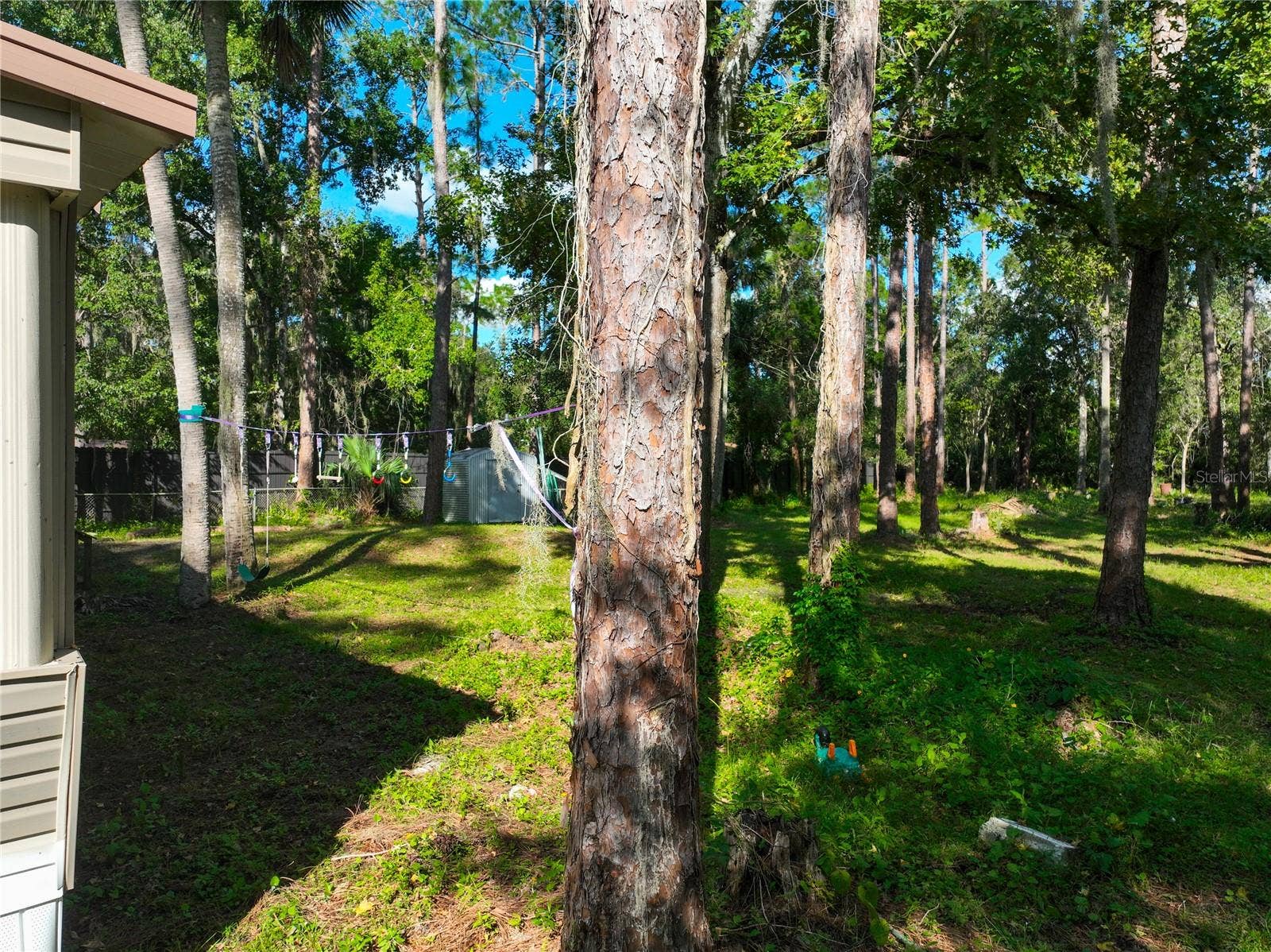 1205 CUPID AVENUE, Christmas, FL 32709