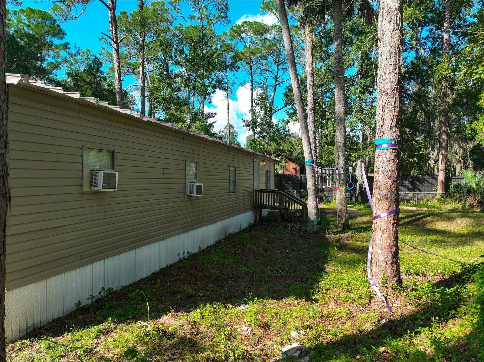 1205 CUPID AVENUE, Christmas, FL 32709
