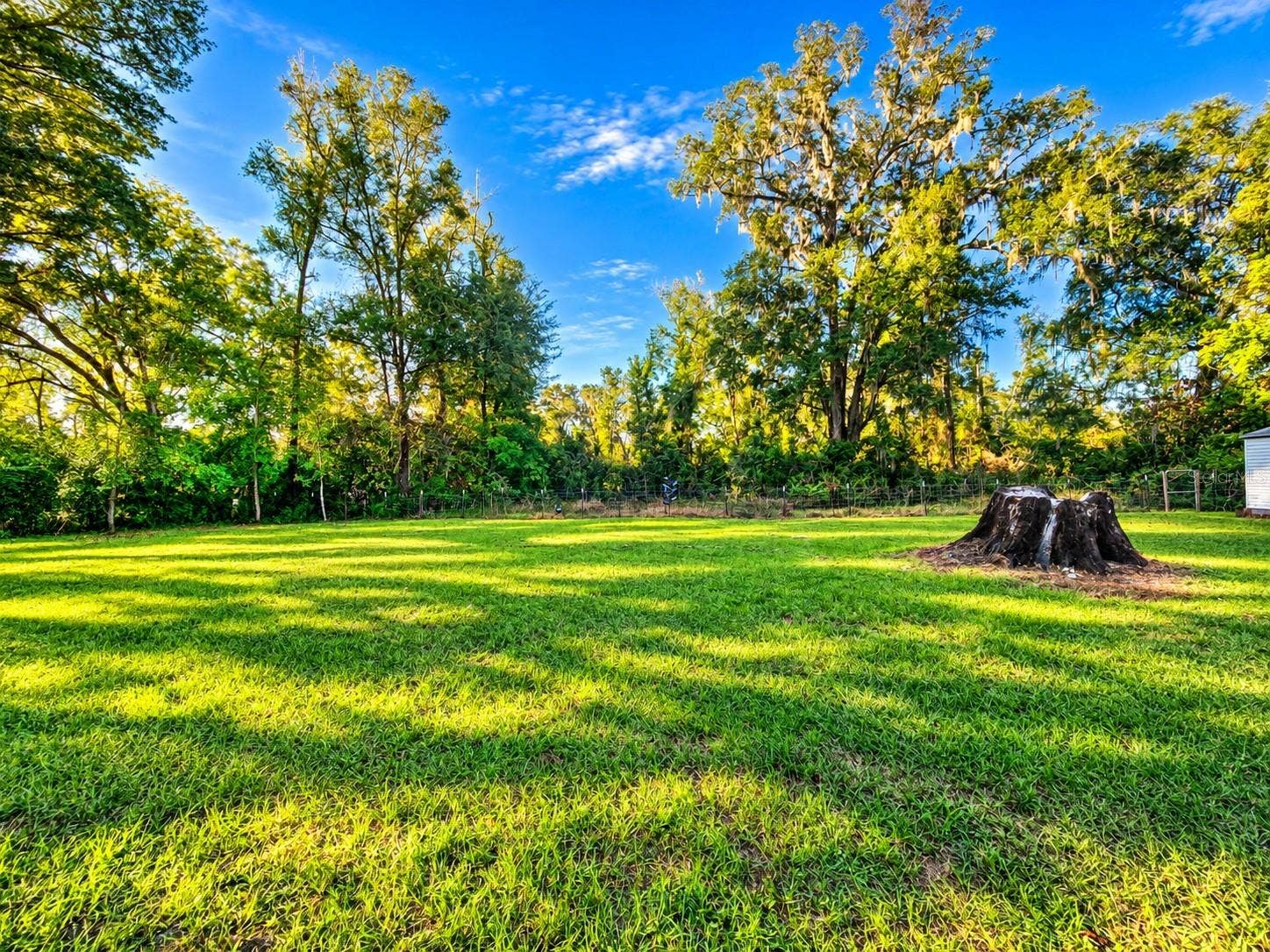 455 NE 112TH AVENUE, Old Town, FL 32680