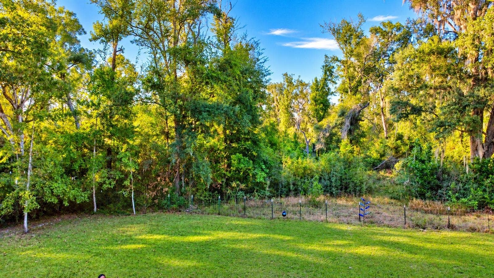 back of property
