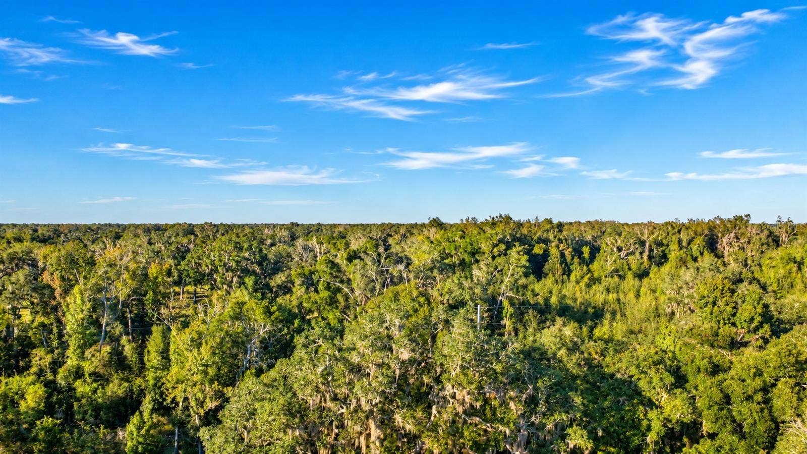 455 NE 112TH AVENUE, Old Town, FL 32680