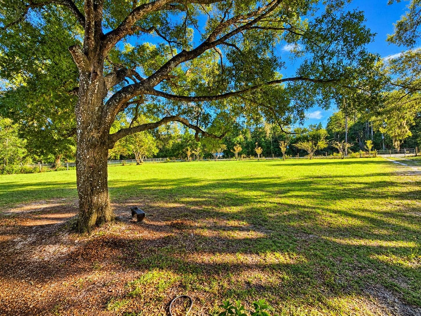 455 NE 112TH AVENUE, Old Town, FL 32680