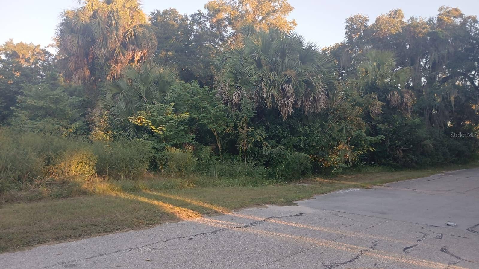 425 NW 12TH AVENUE, Ocala, FL 34475