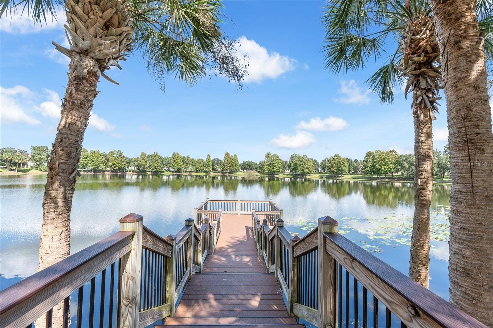 4936 WISE BIRD DRIVE, Windermere, FL 34786 4936 WISE BIRD DRIVE, Windermere, FL 34786