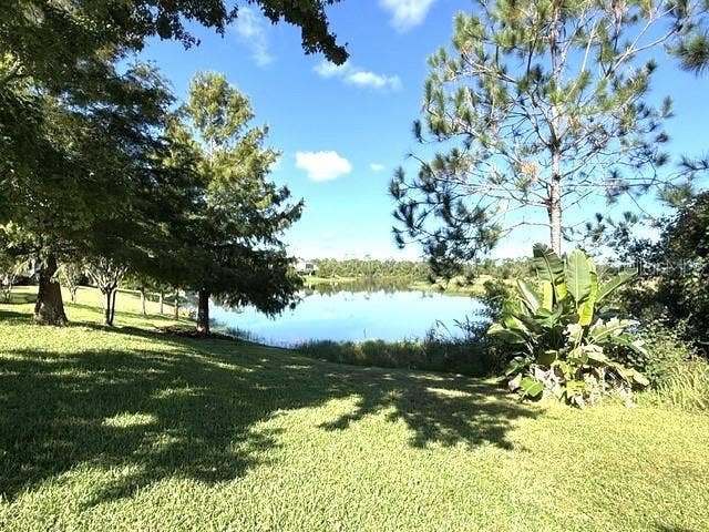 Backyard views the pond