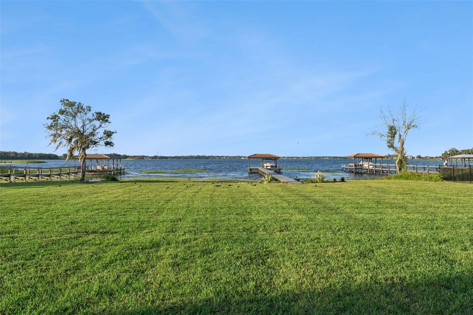 massive backyard
