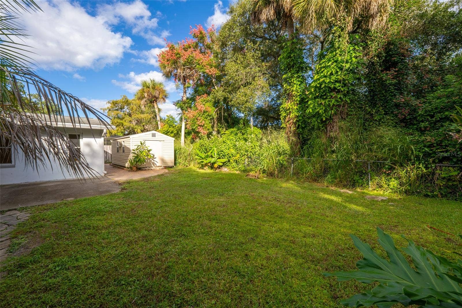 638 ORANGE COURT, Rockledge, FL 32955 Tree-Lined Backyard