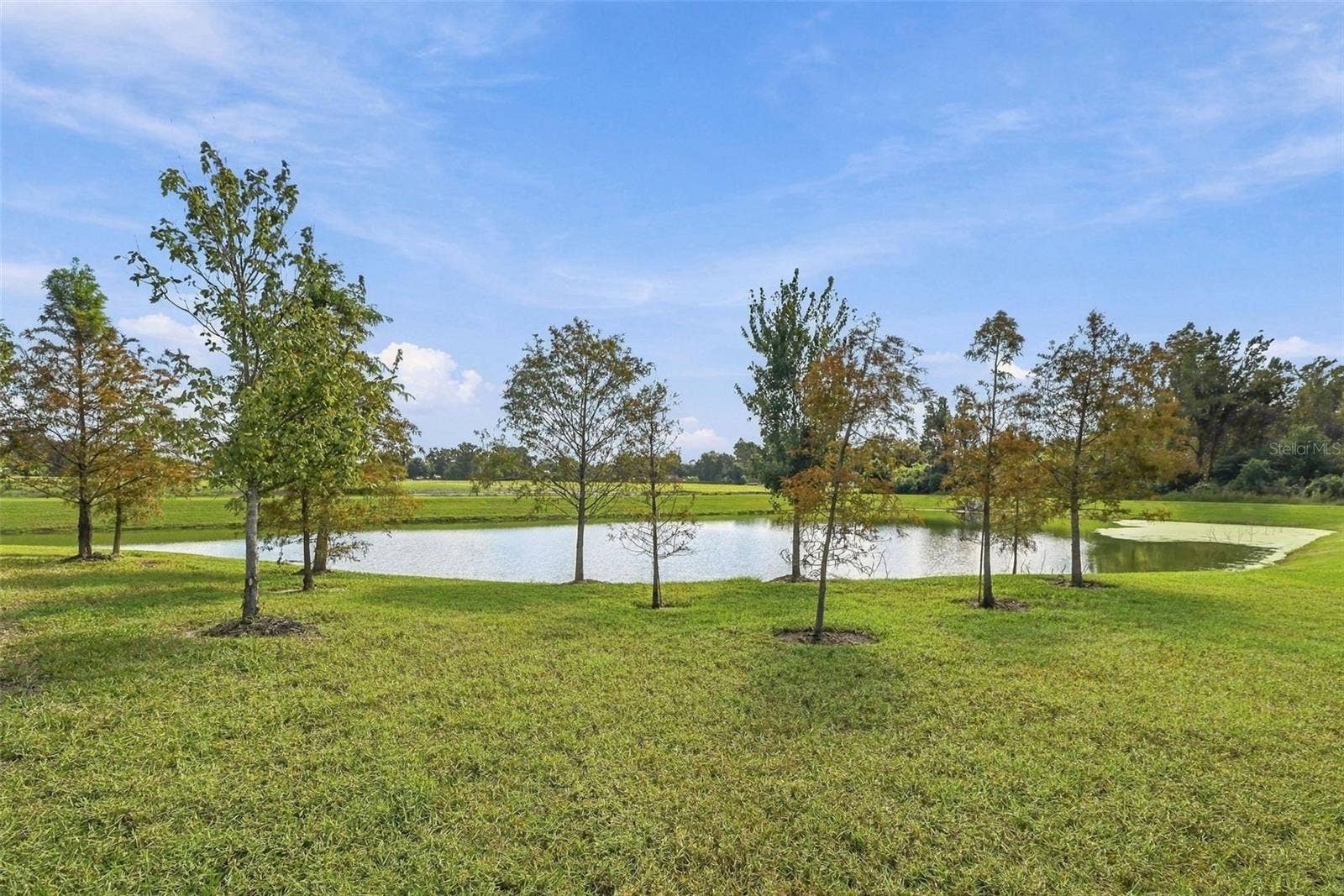 3708 RADIANT MOUNTAIN DRIVE, Plant City, FL 33565 3708 RADIANT MOUNTAIN DRIVE, Plant City, FL 33565
