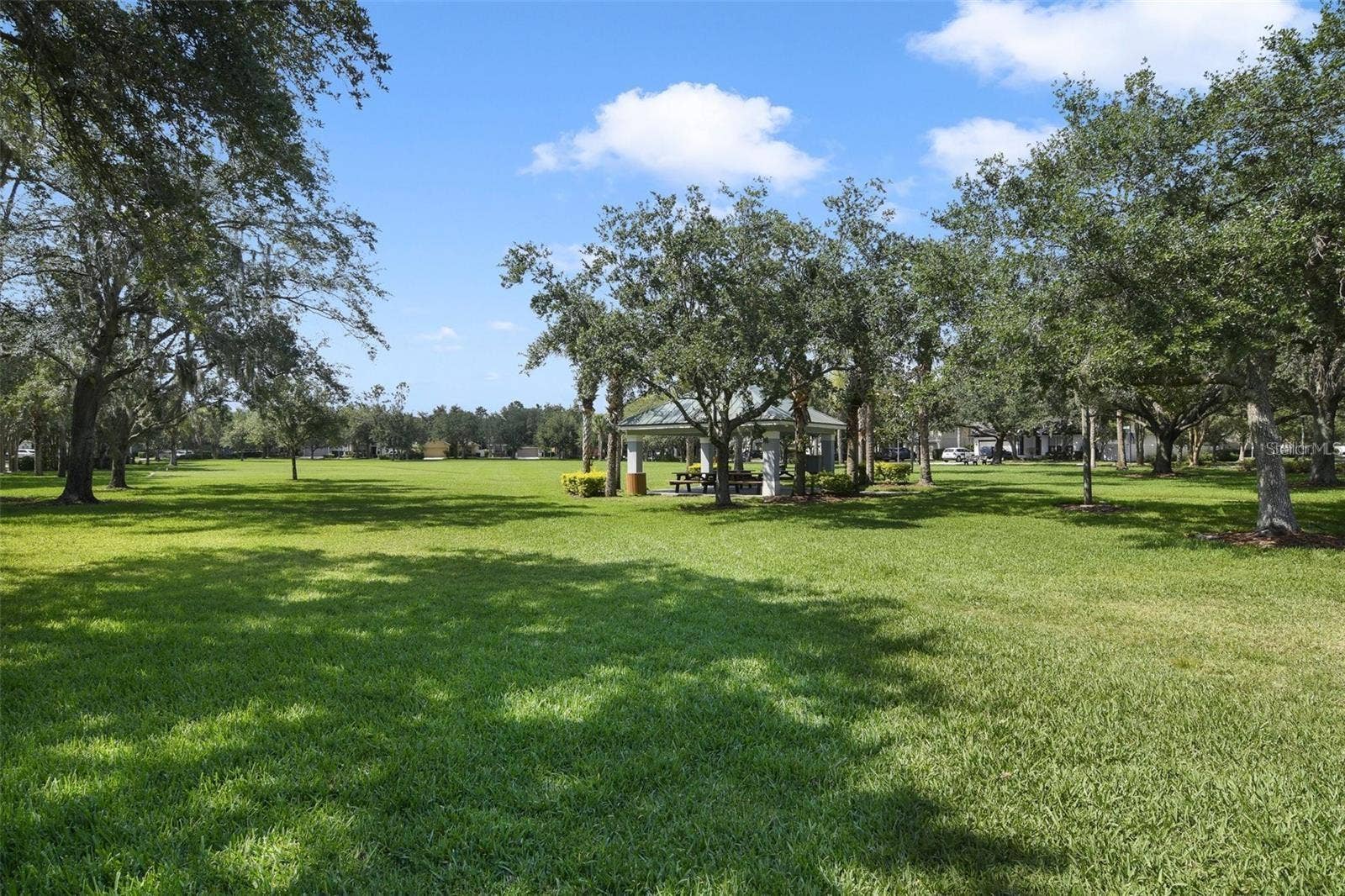 Expansive green space.