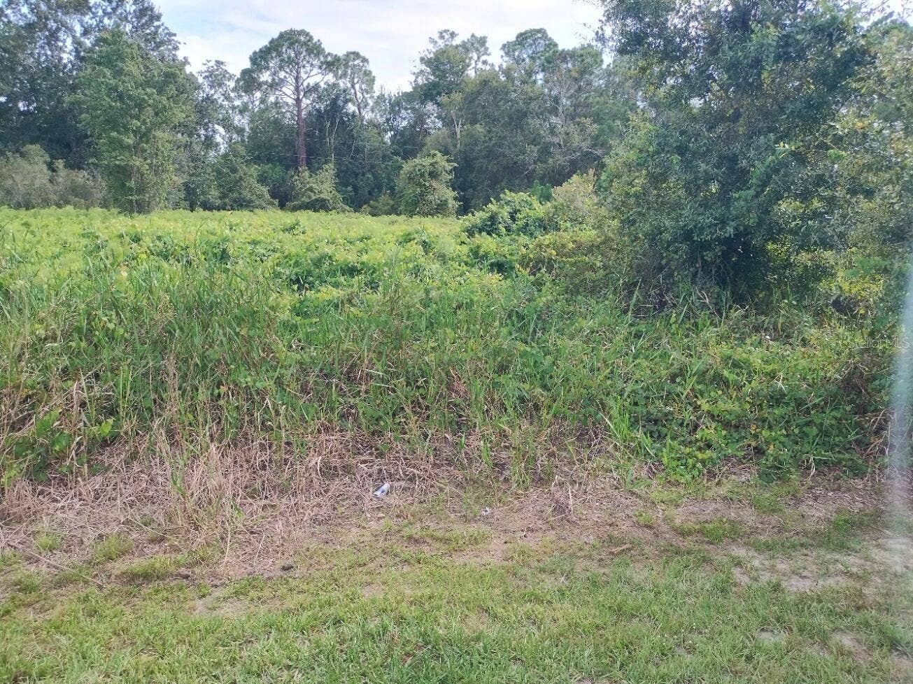 2900 W SHULA ROAD, Avon Park, FL 33825 2900 W SHULA ROAD, Avon Park, FL 33825