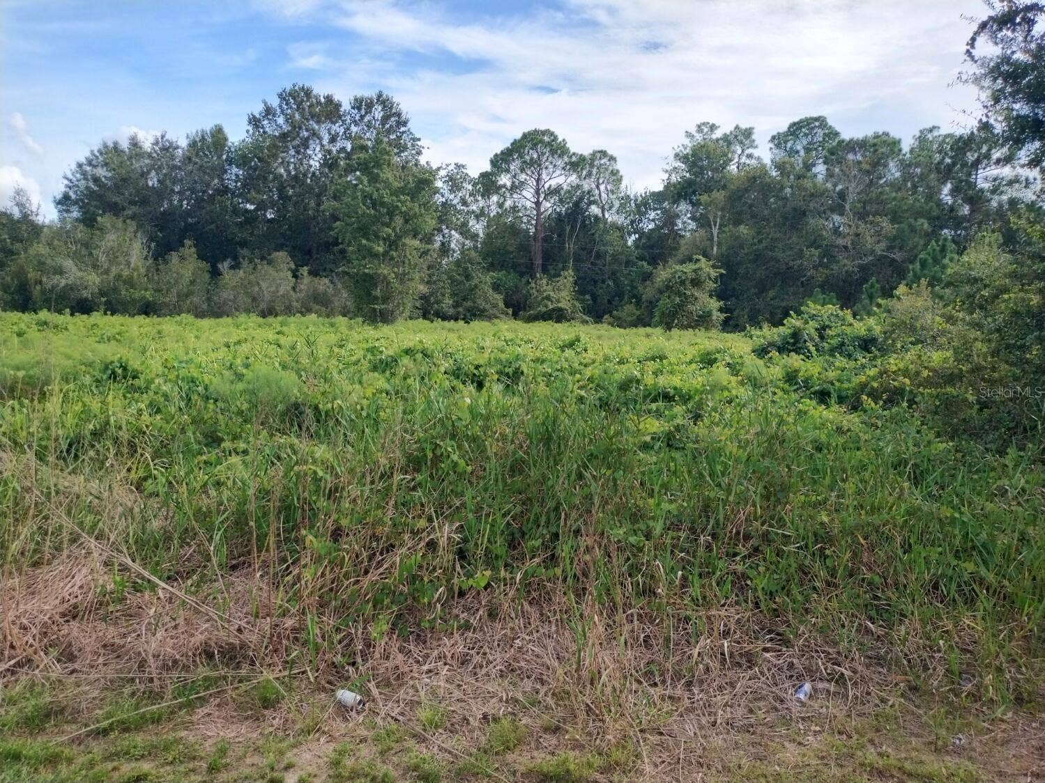 2900 W SHULA ROAD, Avon Park, FL 33825 2900 W SHULA ROAD, Avon Park, FL 33825