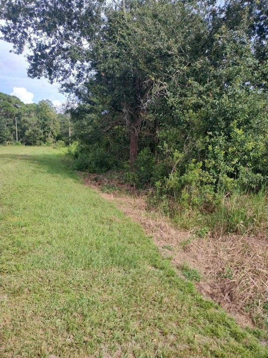 2900 W SHULA ROAD, Avon Park, FL 33825 2900 W SHULA ROAD, Avon Park, FL 33825