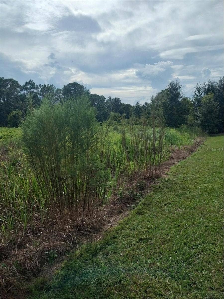 2900 W SHULA ROAD, Avon Park, FL 33825 2900 W SHULA ROAD, Avon Park, FL 33825