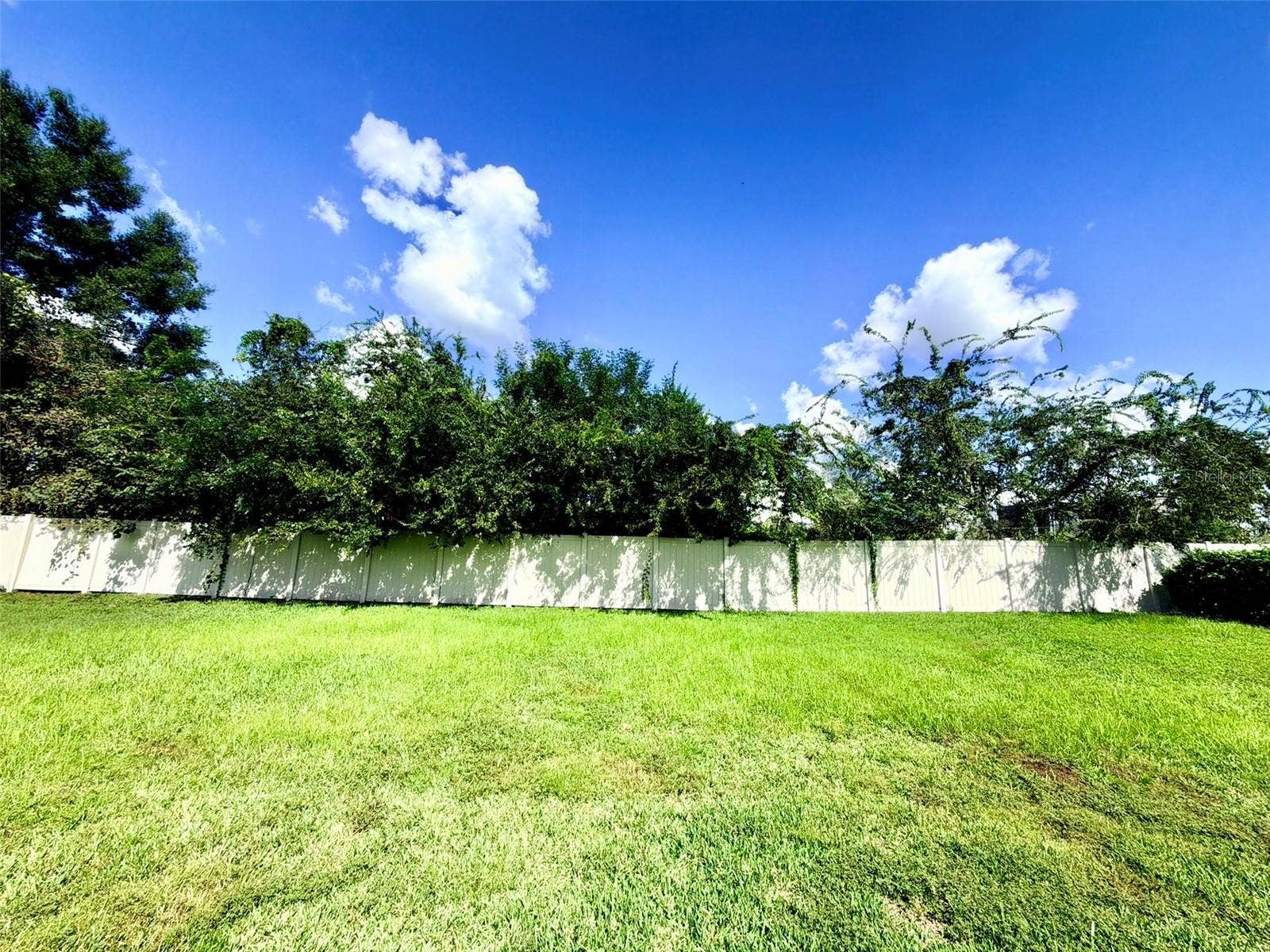 6345 SW 88TH LOOP, Ocala, FL 34476 6345 SW 88TH LOOP, Ocala, FL 34476