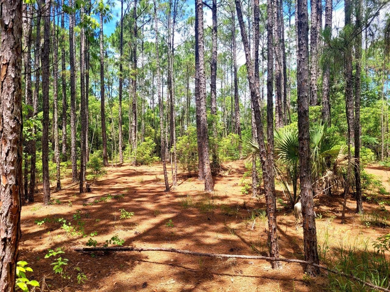 TROPICAL DRIVE, Eustis, FL 32726 TROPICAL DRIVE, Eustis, FL 32726