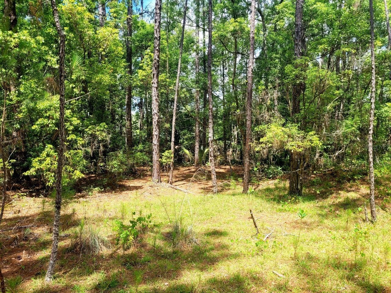 TROPICAL DRIVE, Eustis, FL 32726 TROPICAL DRIVE, Eustis, FL 32726