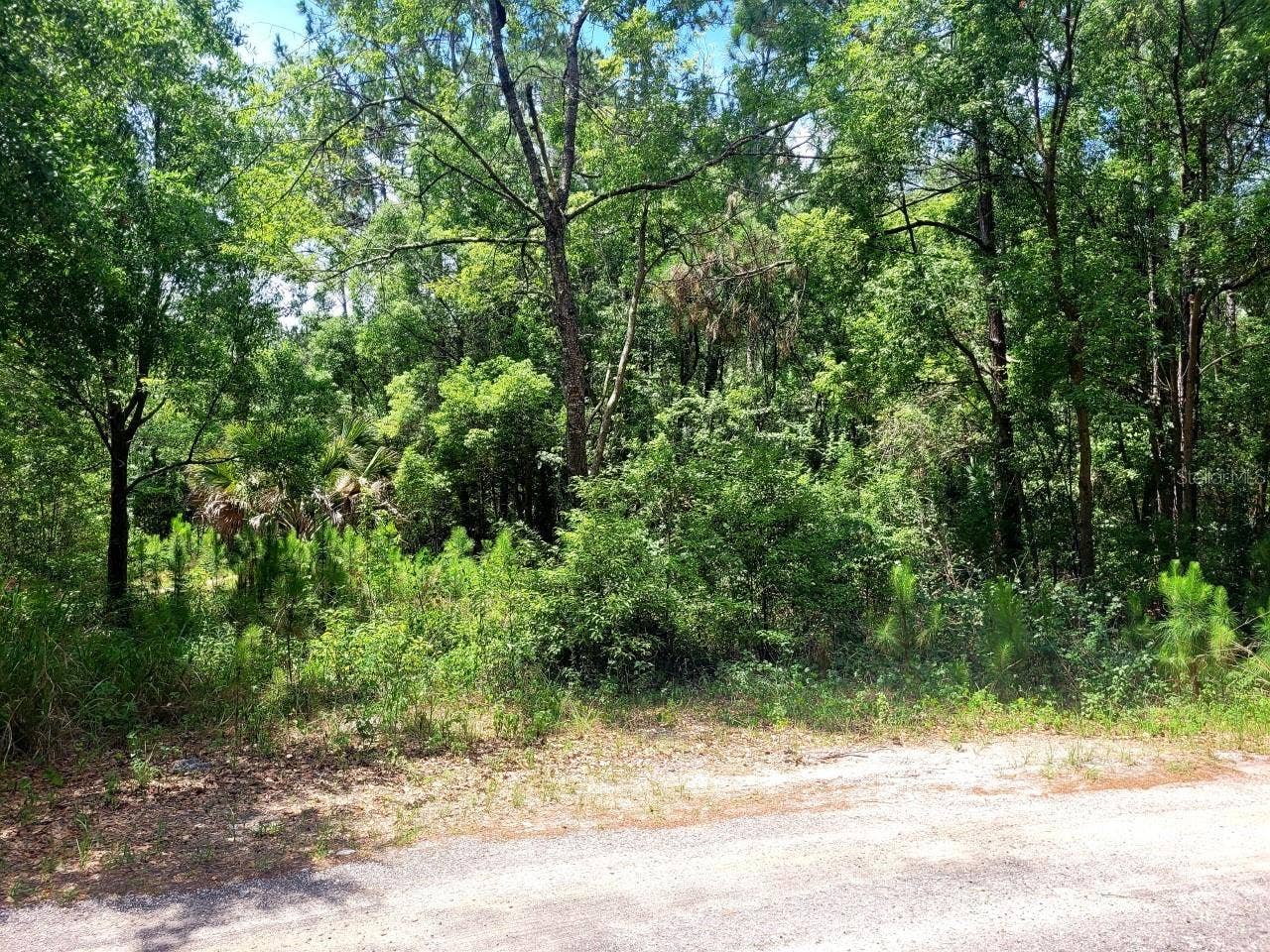 TROPICAL DRIVE, Eustis, FL 32726 TROPICAL DRIVE, Eustis, FL 32726