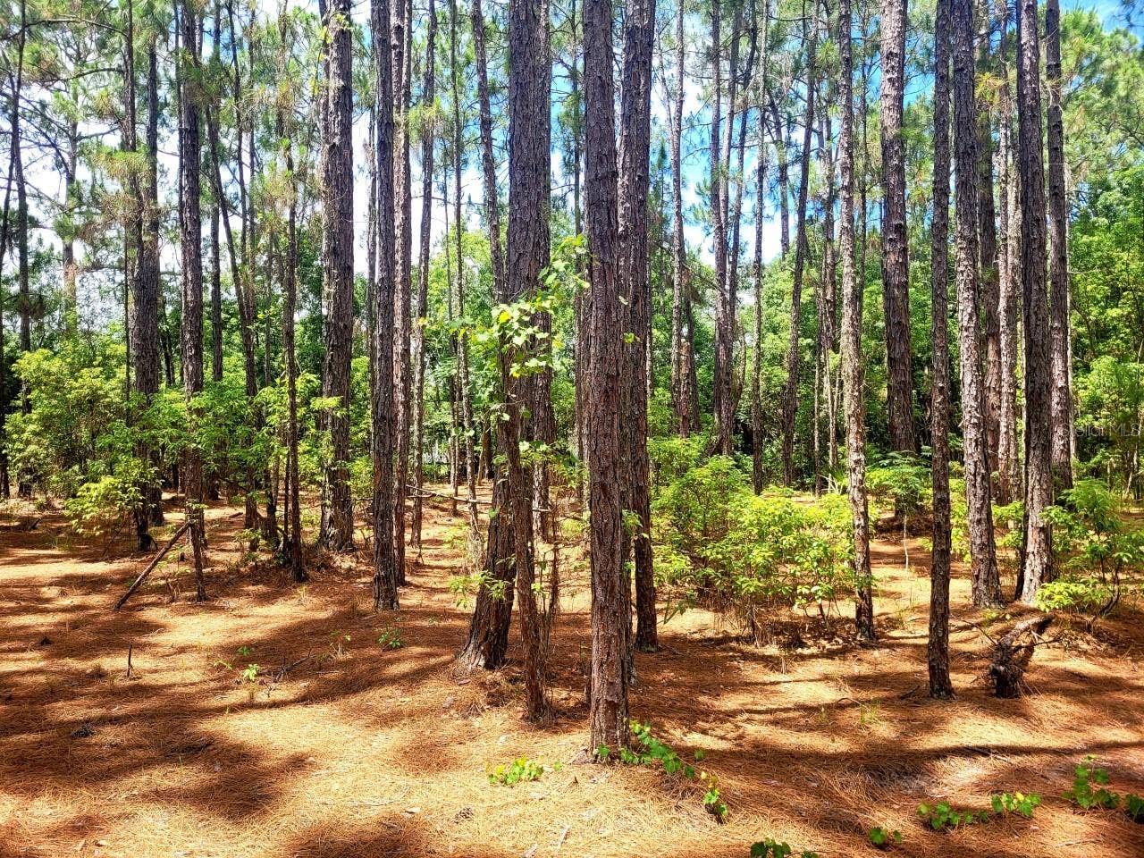 TROPICAL DRIVE, Eustis, FL 32726 TROPICAL DRIVE, Eustis, FL 32726