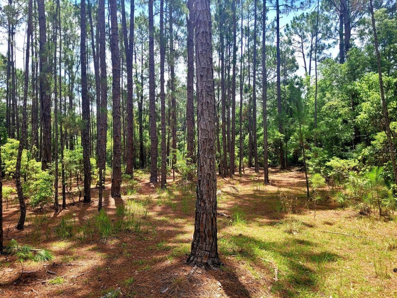 TROPICAL DRIVE, Eustis, FL 32726 TROPICAL DRIVE, Eustis, FL 32726